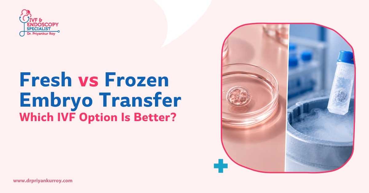 Fresh vs Frozen Embryo Transfer: Which IVF Option Is Better?
