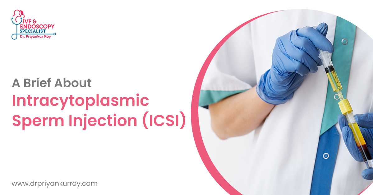 A Brief About Intracytoplasmic Sperm Injection (ICSI)