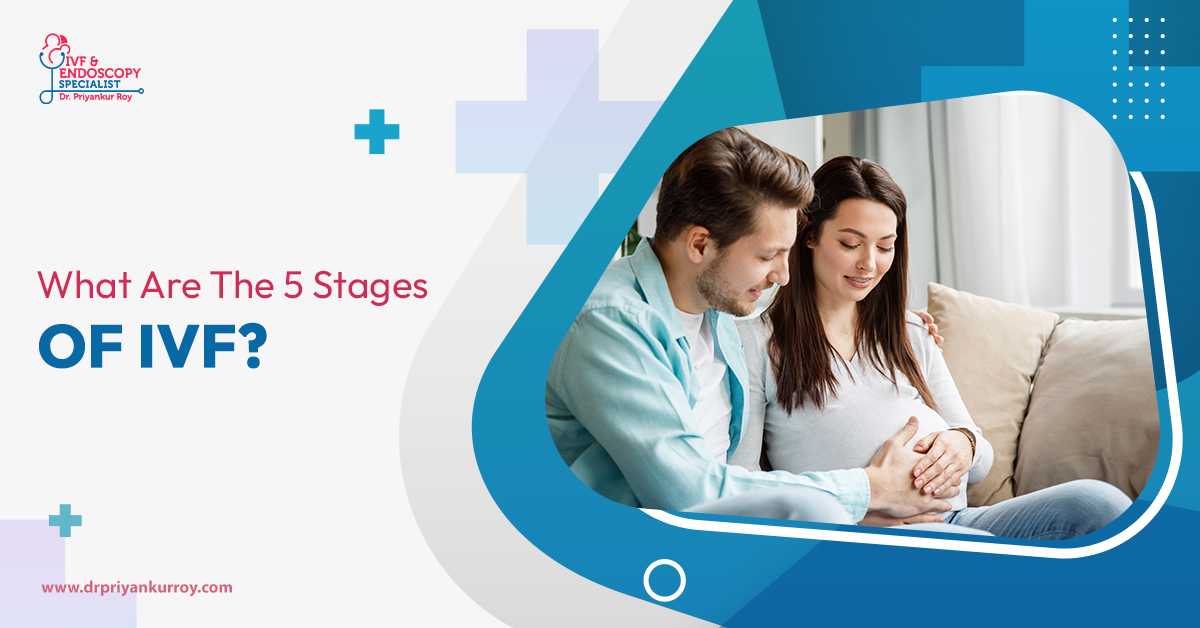 What Are The 5 Stages Of IVF?