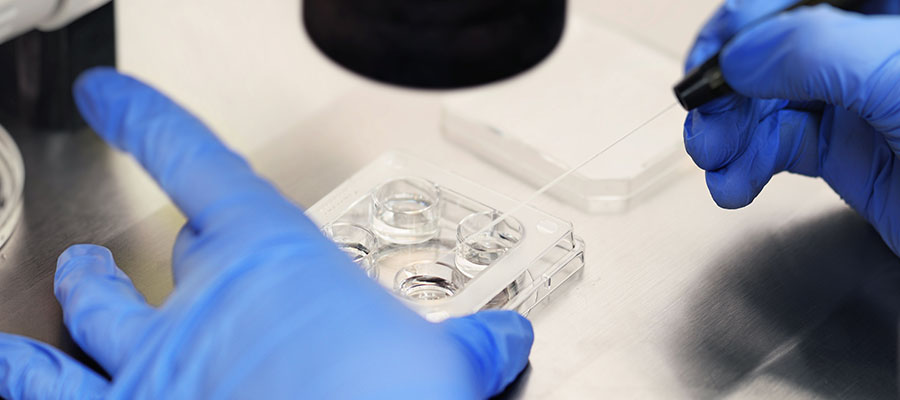 Understanding IVF: Your Road To Parenthood