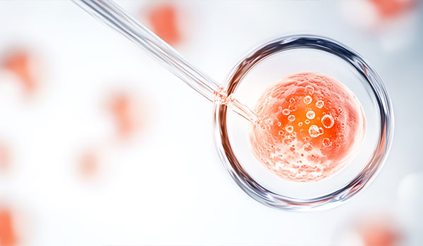 Egg Donation