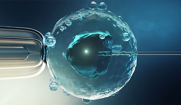 Embryo Culture and Monitoring