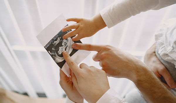 Embryo Transfer